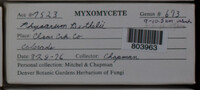 Image Associated With the Occurence